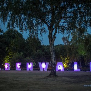 Elbenwaldfestival_2018-1234