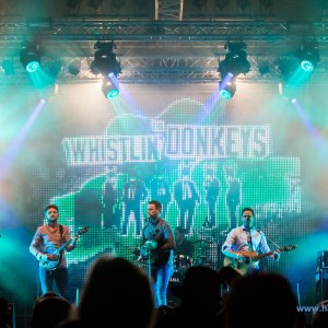 Irish_Folk_Open_Air_Poyenberg_2018_1988_