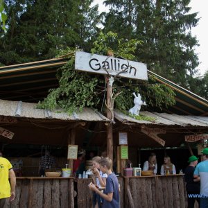 Irish_Folk_Open_Air_Poyenberg_2018_70_