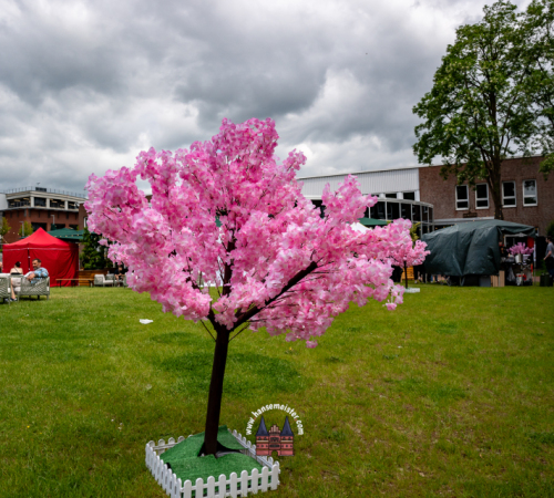 3.-JAPANMARKT-LUeBECK-KIRSCHBLUeTENFEST-2026-05-30-1