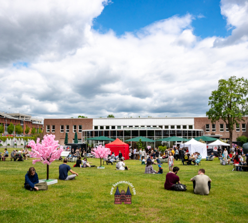 3.-JAPANMARKT-LUeBECK-KIRSCHBLUeTENFEST-2026-05-30-40