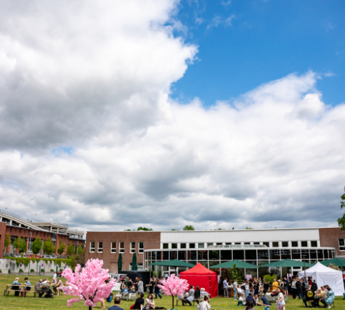 3.-JAPANMARKT-LUeBECK-KIRSCHBLUeTENFEST-2026-05-30-41