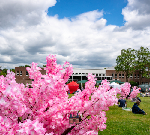 3.-JAPANMARKT-LUeBECK-KIRSCHBLUeTENFEST-2026-05-30-42