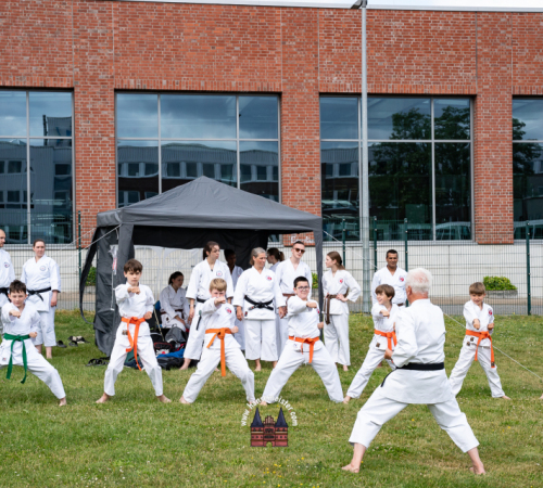 3.-JAPANMARKT-LUeBECK-KIRSCHBLUeTENFEST-2026-05-30-61