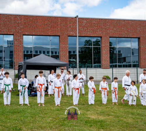 3.-JAPANMARKT-LUeBECK-KIRSCHBLUeTENFEST-2026-05-30-70
