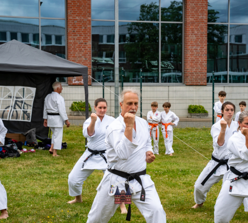 3.-JAPANMARKT-LUeBECK-KIRSCHBLUeTENFEST-2026-05-30-82