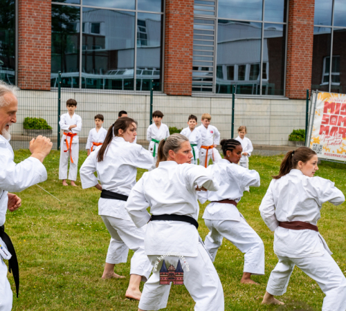3.-JAPANMARKT-LUeBECK-KIRSCHBLUeTENFEST-2026-05-30-84