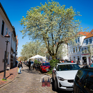 aethercircus-steampunk-festival-sa-2023-598
