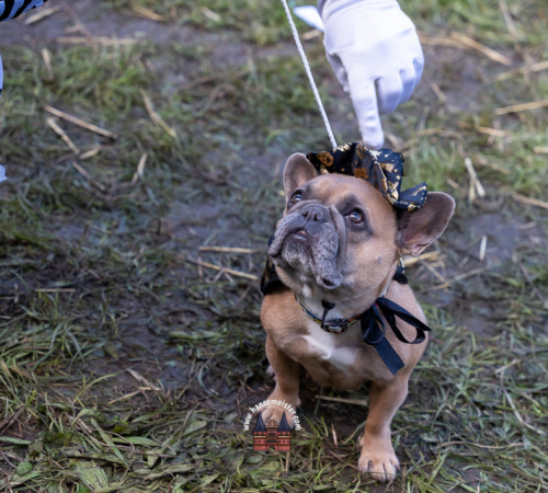 Annotopia-Luedinghausen-sa-2023-2610