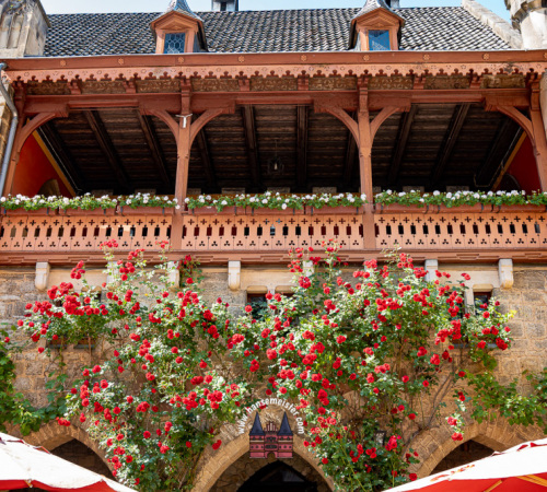 annotopia-schloss-marienburg-2023-1148