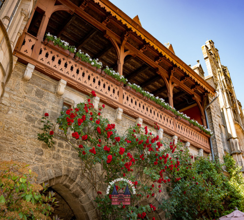 annotopia-schloss-marienburg-2023-1223