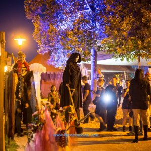 Autumn_Moon_Festival_2018-2245