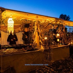 Autumn-Moon-Festival-Freitag-Besucher-2019-1521