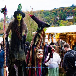 Autumn-Moon-Festival-Samstag-Besucher-2019-922