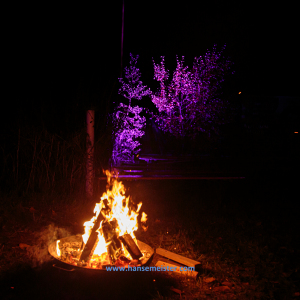Autumn-Moon-Tribute-Open-Air-2021-1578