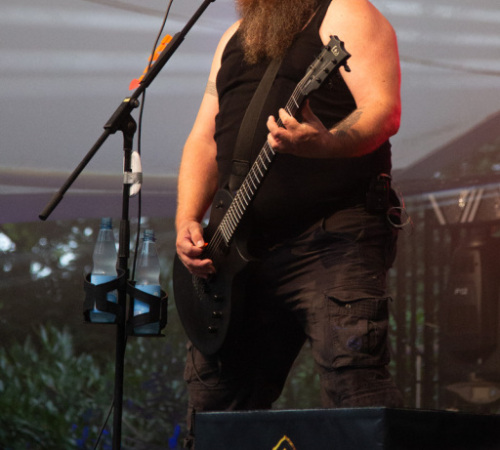 1942_79A1308_Rauhbein