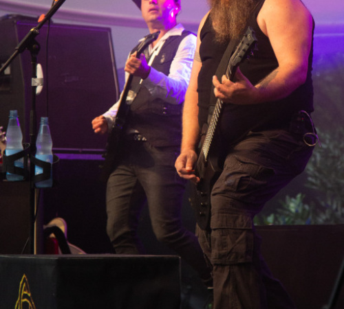 1945_79A1321_Rauhbein