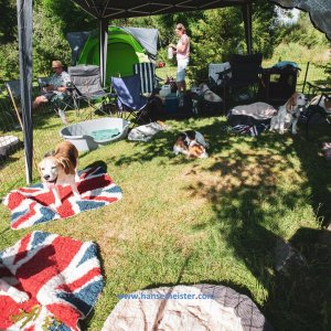 British-Weekend-2020-214