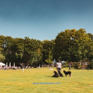 British-Weekend-2020-270
