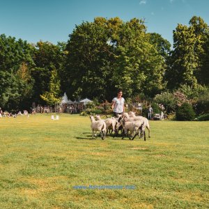 British-Weekend-2020-296