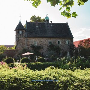 British-Weekend-2020-578