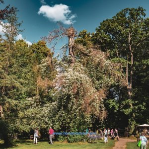 British-Weekend-2020-589