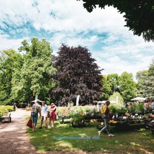 British-Weekend-2020-91