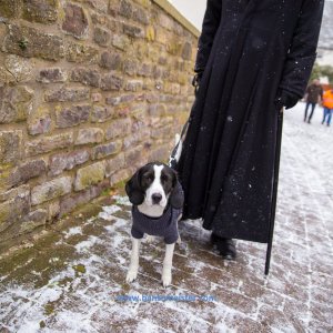 Charles_Dickens_Festival_Blomberg_2018-766