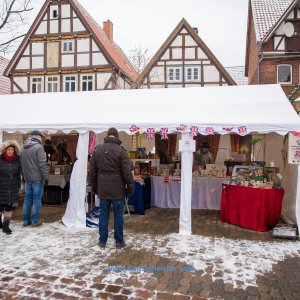 Charles_Dickens_Festival_Blomberg_2018-936