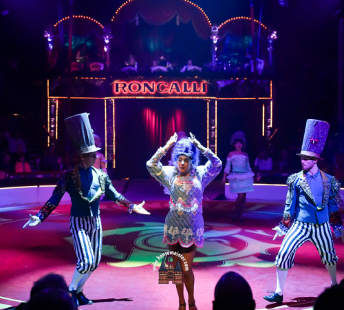 Circus-Roncalli-Bremen-2025-hansemeister.com-1240