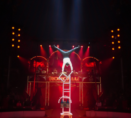 Circus-Roncalli-Bremen-2025-hansemeister.com-1843