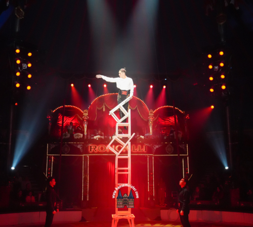 Circus-Roncalli-Bremen-2025-hansemeister.com-1868