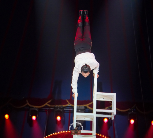 Circus-Roncalli-Bremen-2025-hansemeister.com-1942