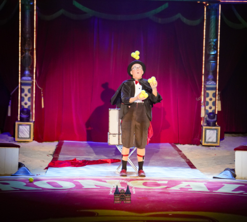 Circus-Roncalli-Bremen-2025-hansemeister.com-2055