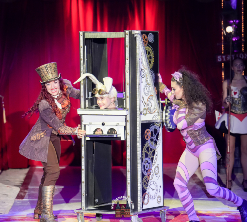 Circus-Roncalli-Bremen-2025-hansemeister.com-2441
