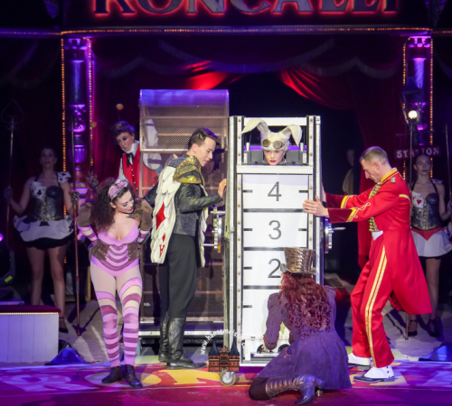 Circus-Roncalli-Bremen-2025-hansemeister.com-2490