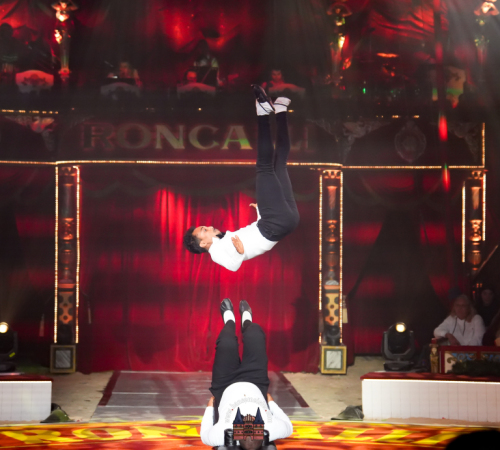 Circus-Roncalli-Bremen-2025-hansemeister.com-395