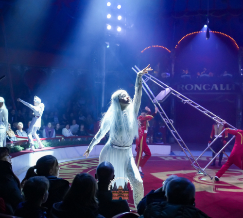 Circus-Roncalli-Bremen-2025-hansemeister.com-4796