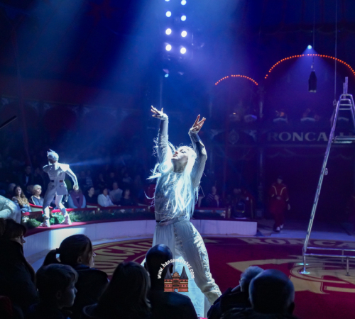 Circus-Roncalli-Bremen-2025-hansemeister.com-4822