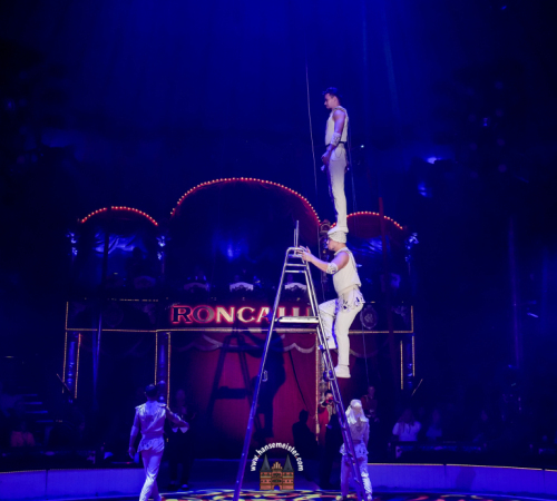 Circus-Roncalli-Bremen-2025-hansemeister.com-4857