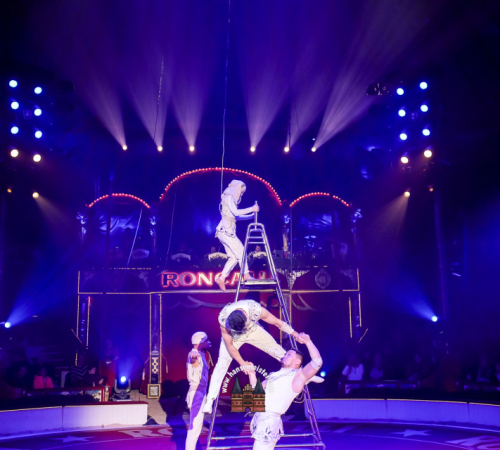 Circus-Roncalli-Bremen-2025-hansemeister.com-4922