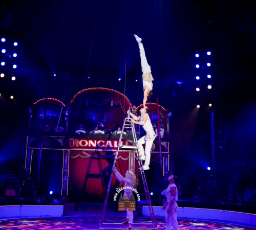 Circus-Roncalli-Bremen-2025-hansemeister.com-5056