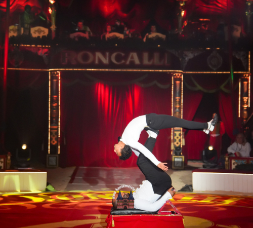 Circus-Roncalli-Bremen-2025-hansemeister.com-582