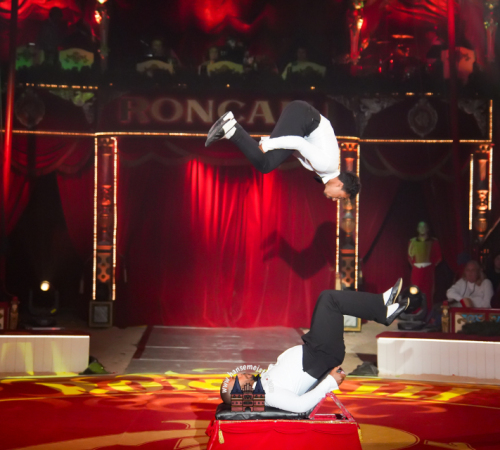 Circus-Roncalli-Bremen-2025-hansemeister.com-584