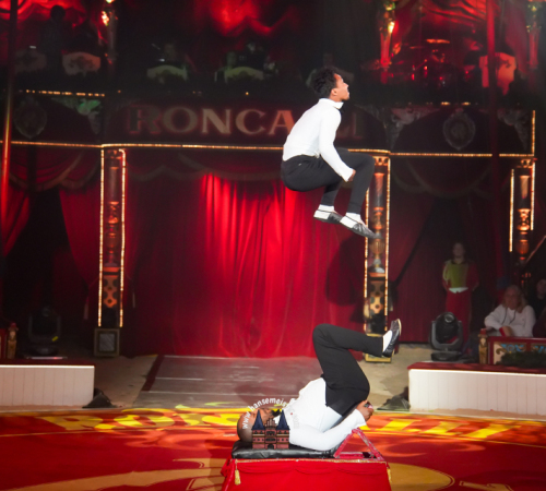 Circus-Roncalli-Bremen-2025-hansemeister.com-585