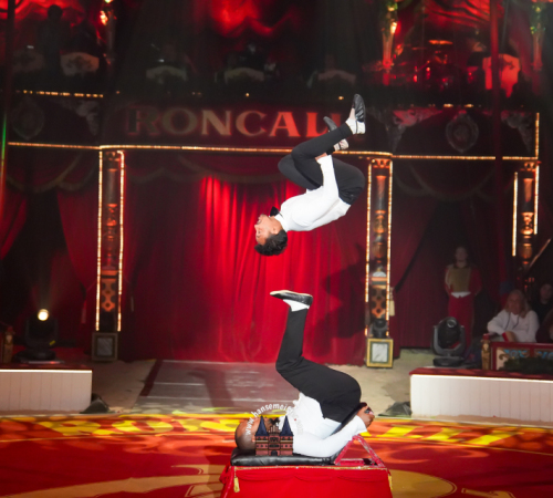 Circus-Roncalli-Bremen-2025-hansemeister.com-586