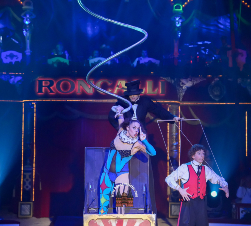 Circus-Roncalli-Bremen-2025-hansemeister.com-687