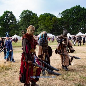 Conquest-of-Mythodea-Freitag_2019_Meister-333