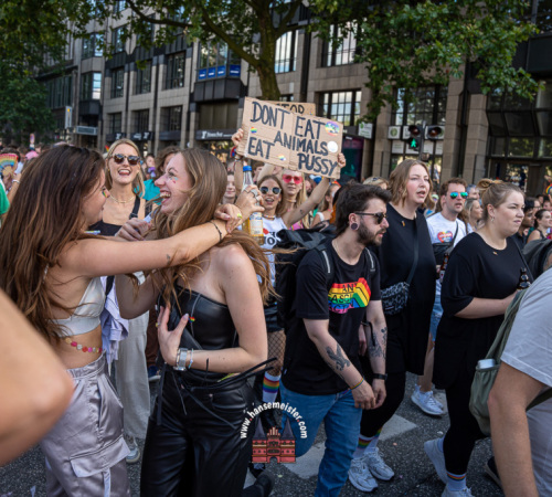 csd-hamburg-2023-2537