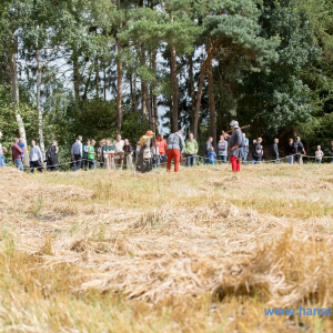 cultura-mediavalis-mittelalterliches-treyben_urla_2017_886_